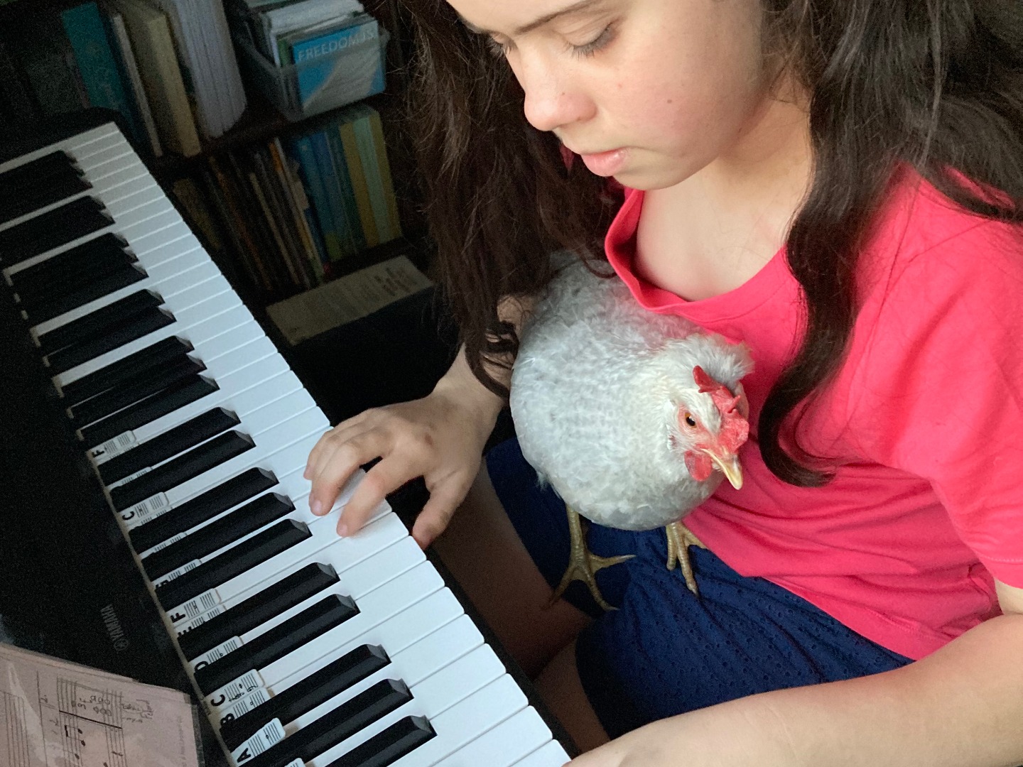 A homeschool student playing piano at home with a calm, focused companion nearby